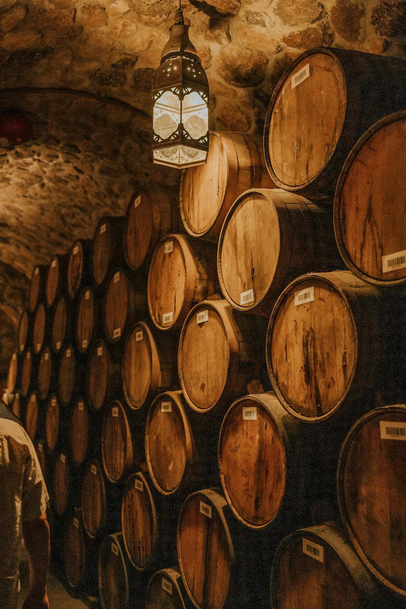 Wine barrels stacked in a softly lit stone cellar